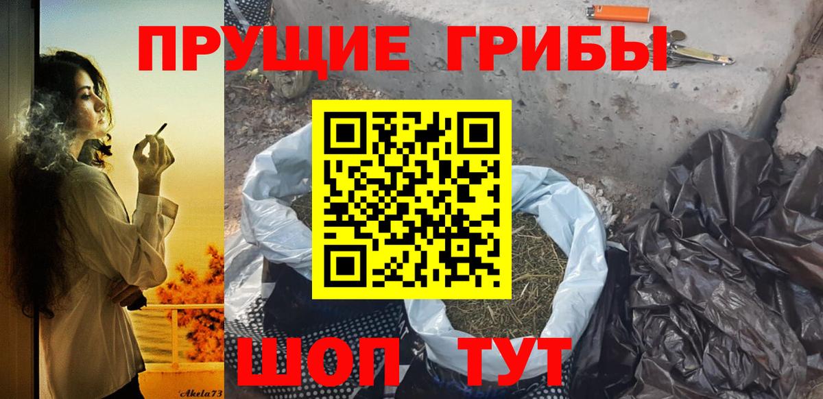 Тихорецк  Псилоцибиновые грибы GOLDEN TEACHER  Вход с VPN 
